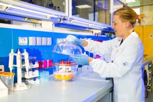 30-lab-ricerca-bambino-gesù
