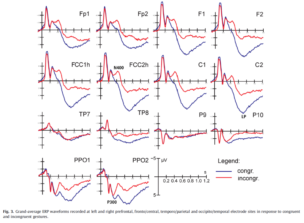Figura 2_Onda N400 per i gesti incongruenti