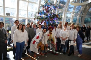 albero-natale-meyer-2016