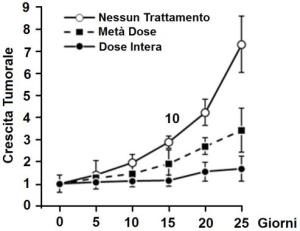 tumore-pancreas-cnr-3