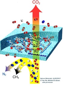 membrane-gas-serra-cnr-2