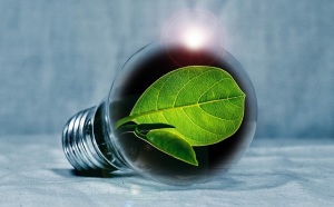 lampadina-energia-green