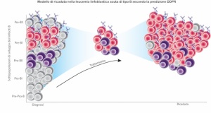 mbbm-leucemia-pubblicazione-nature-medicine