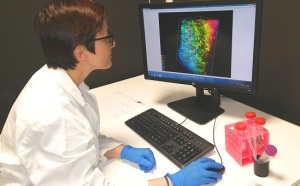 ricerca-neuroscienze-torino