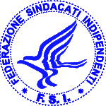 FSI-logo-2002