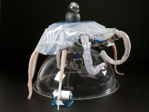 octopus-robot-sant-anna-pisa