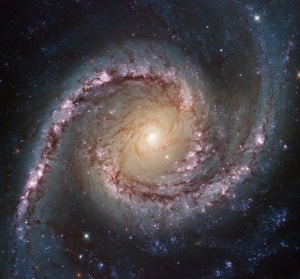 galassie-a-spirale-grand-swirls-ngc-1566-cnr