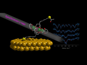 nanostrutture-molecolari-uni-firenze