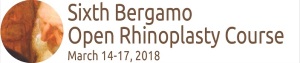 logo-sixth-bergamo-open-rhinoplasty-course