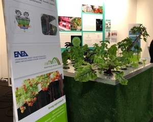 seed-chips-2017-stand-enea