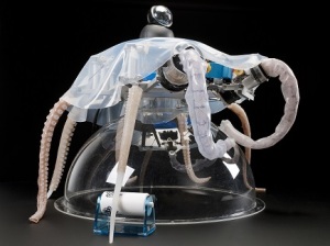 octopus-primo-robot soffice-progetto-cecilia-laschi