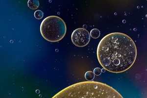 cellule-staminali-aideco