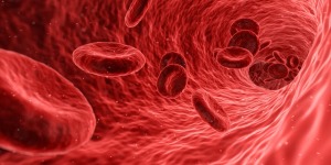 sangue-globuli-rossi-cellule