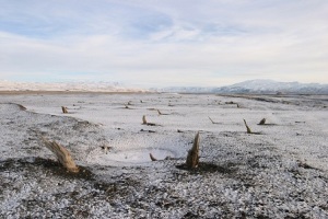 iceland-subfossil-cnr