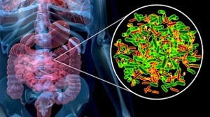 microbiota-intestino