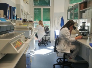 laboratorio-genetica-umana-gaslini