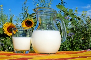 latte-fresco-girasoli