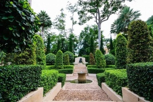 giardino-piante-verde