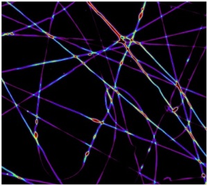 network-nanofibre-cnr