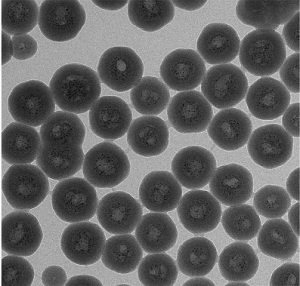 nanoparticelle-passion-fruit-iit