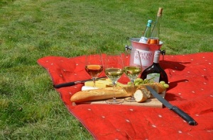 cibo-picnic